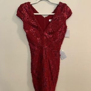 NWT Dress the population dress